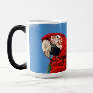 Blue and yellow macaw and a Scarlet macaw Magic Mug
