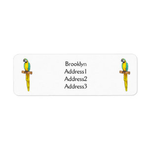 Blue-and-yellow macaw bird cartoon illustration