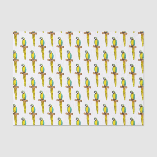Blue-and-yellow macaw bird cartoon illustration tissue paper (Front)
