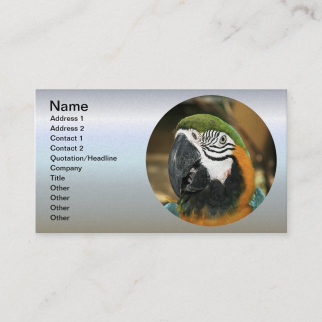 Blue and Yellow Macaw from Amazon Business Card (Front)