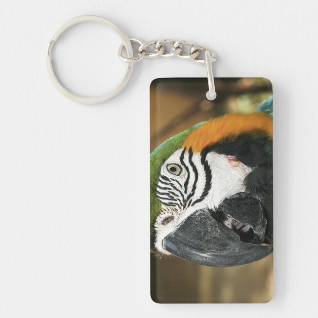 Blue and Yellow Macaw from Amazon Keychain (Front)