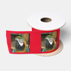 Blue and Yellow Macaw from Amazon Satin Ribbon