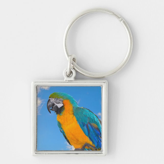 Blue and yellow macaw  keychain (Front)