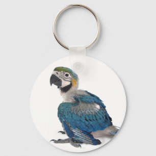 Blue and yellow Macaw Keychain