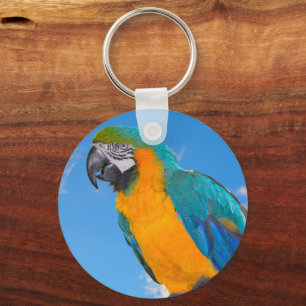 Blue and yellow macaw  keychain