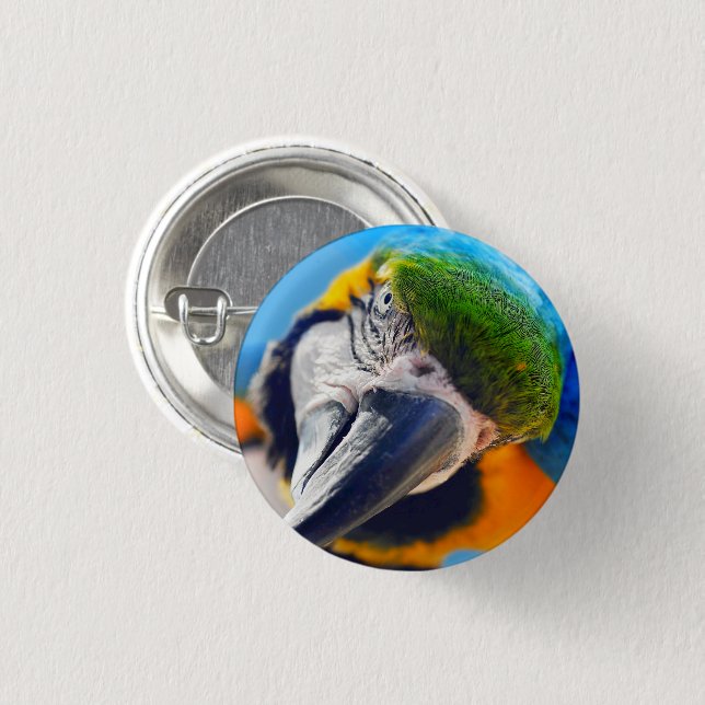Blue and Yellow Macaw, Parrot Face 1 Inch Round Button (Front & Back)