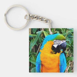 Blue and Yellow Macaw Parrot Keychain