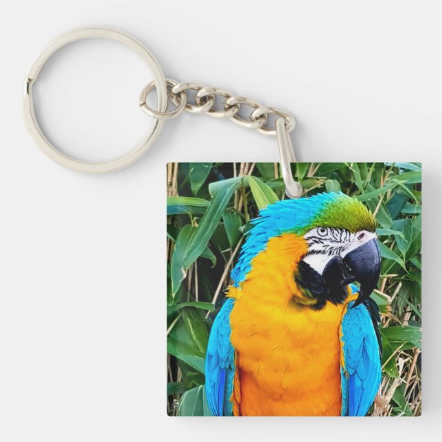 Blue and Yellow Macaw Parrot Keychain (Front)
