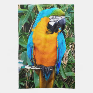 Blue and Yellow Macaw Parrot Kitchen Towel