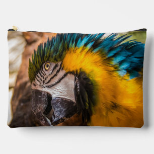 Blue and yellow macaw portrait accessory pouch