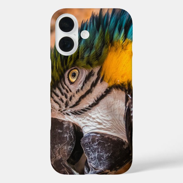 Blue and yellow macaw portrait Case-Mate iPhone case (Back)