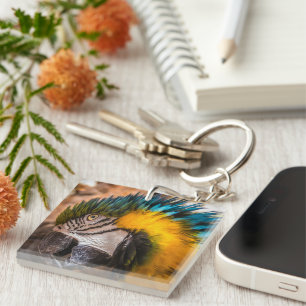 Blue and yellow macaw portrait keychain