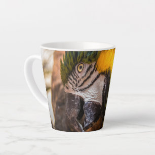 Blue and yellow macaw portrait latte mug