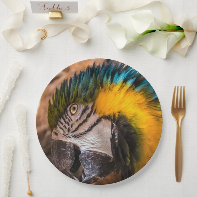 Blue and yellow macaw portrait paper plate (Wedding)