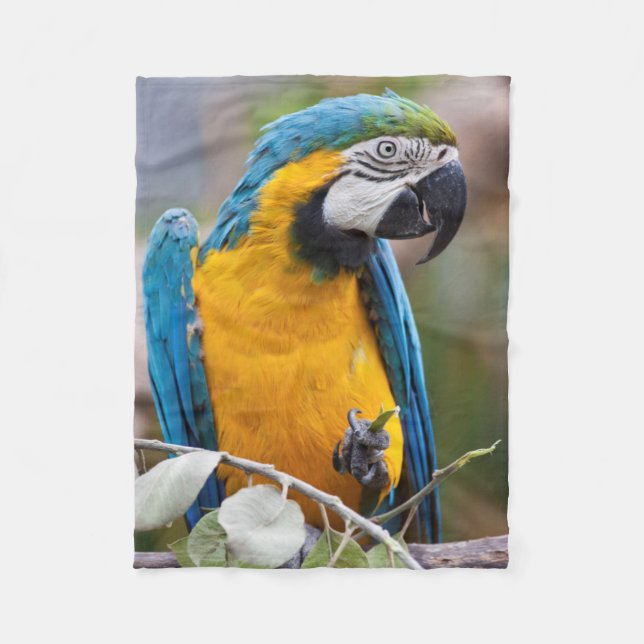 Blue and Yellow Macaw Sherpa Blanket (Front)
