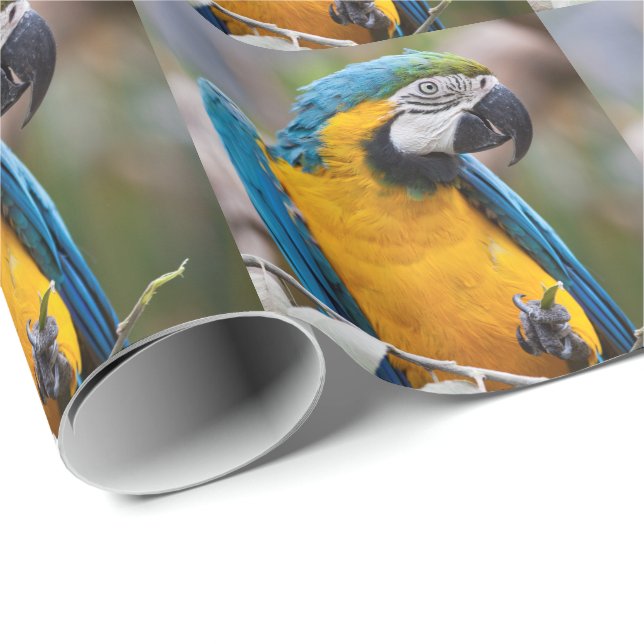 Blue and Yellow Macaw Wrapping Paper (Roll Corner)