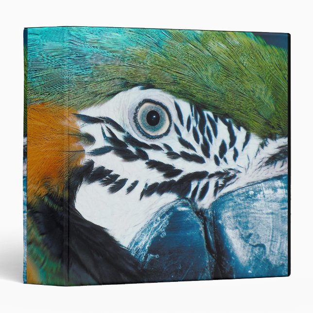 Blue-and-yellow MacawÊ Binder (Front/Spine)