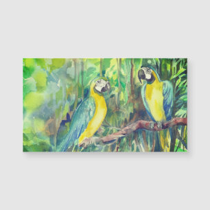 Blue and yellow macaws, bird friends