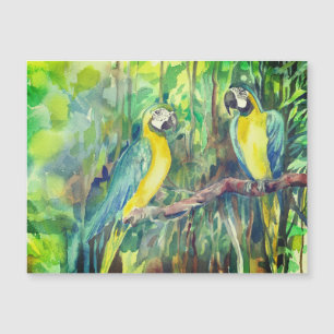Blue and yellow macaws, bird friends