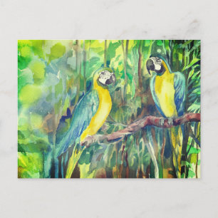 Blue and yellow macaws, bird friends holiday postcard