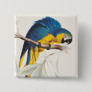 Blue and Yellow Maccaw Button