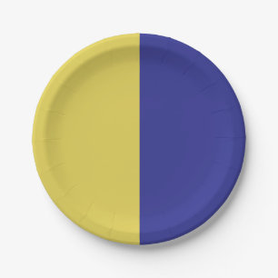 Blue And Yellow Paper Plate