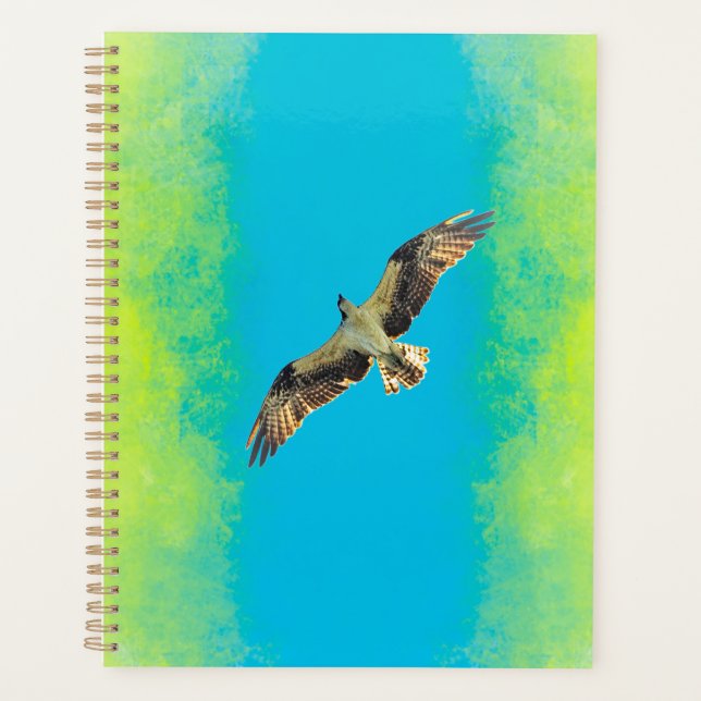 Blue and yellow planner (Front)