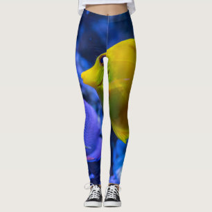 Blue And Yellow Two Beautiful Fishes Leggings