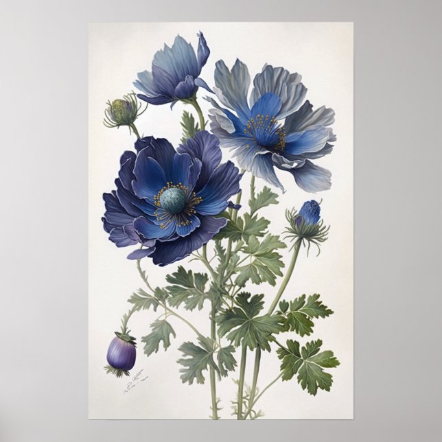 Blue Anemone Flowers Art Print Poster (Front)