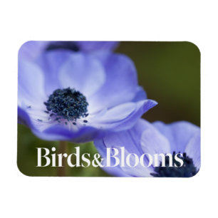 Blue Anemone Magnet