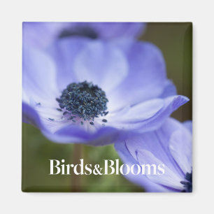 Blue Anemone Magnet