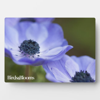 Blue Anemone Plaque