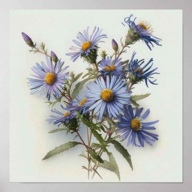 Blue Aster Flower Art Print Poster (Front)