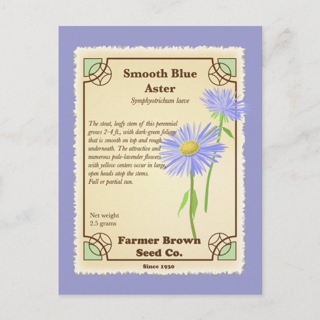 Blue Aster Seed Packet Postcard (Front)