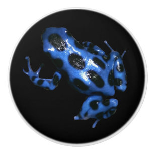 Blue Auratus dart frog drawer pull, frog knob