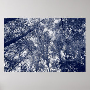 Blue Autumn Poster