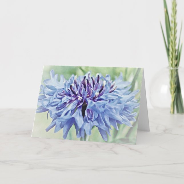 Blue Bachelor Button Blank Note Card (Front)