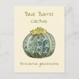 Blue Barrel cactus postcard