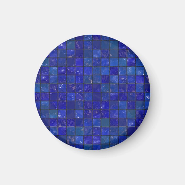 Blue Bathroom Tiles Magnet (Front)
