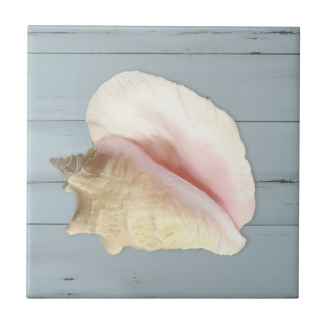 Blue Beach Conch Seashell Coastal Shell Wood Tile (Front)