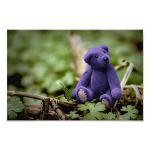 Blue Bear Photo Print