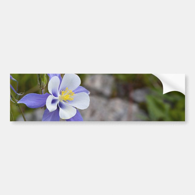 Blue Beauty Bumper Sticker (Front)