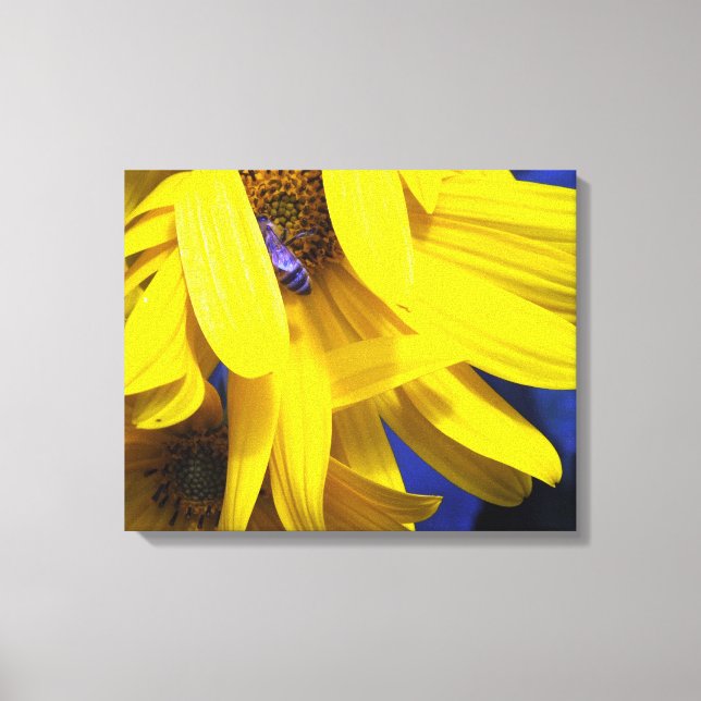 Blue Bee On Yellow Sunflower Wrapped Canvas (Front)