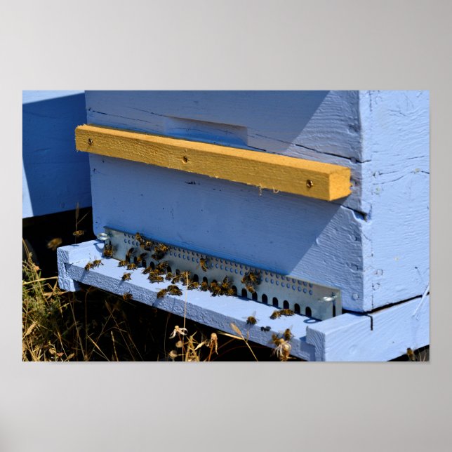 Blue beehive poster (Front)