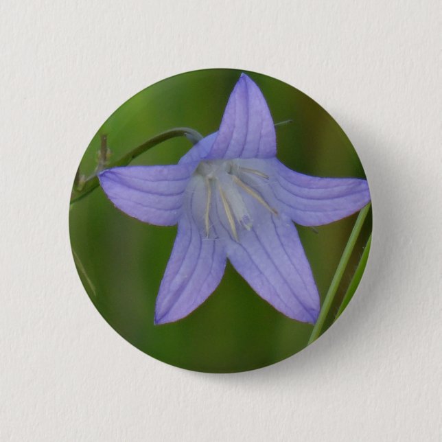 Blue bell flower 2 inch round button (Front)