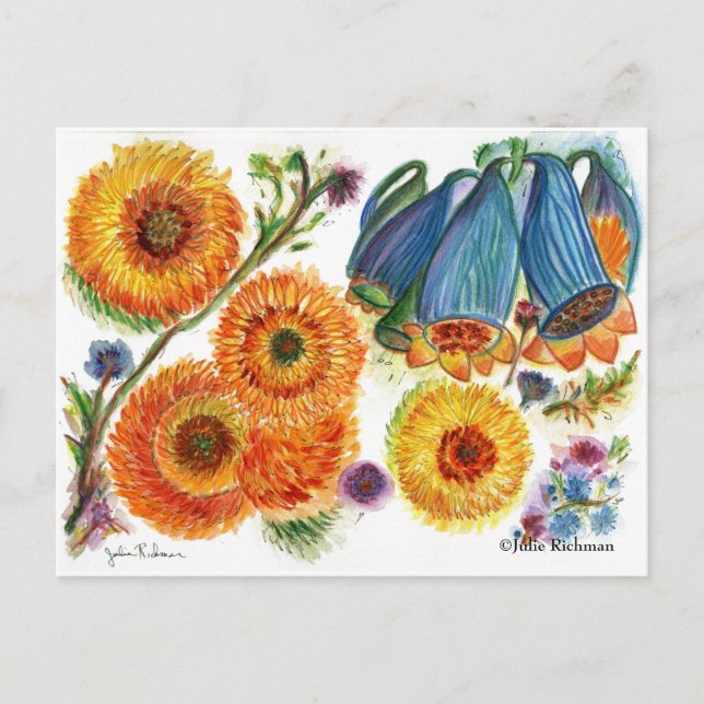 Blue Bell Zinnia Flower postcard (Front)