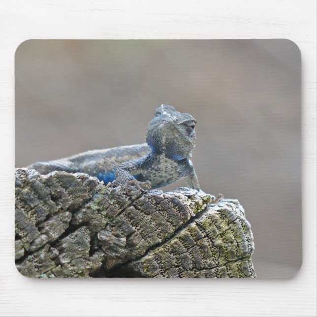 Blue Belly Alligator Lizard Mouse Pad (Front)
