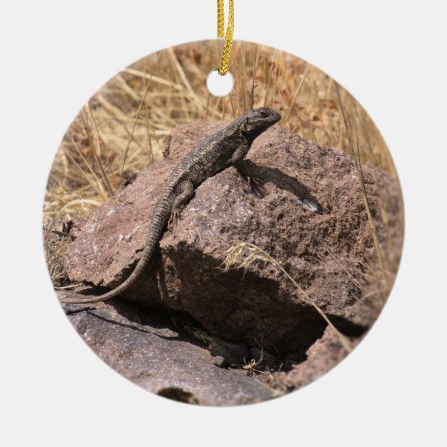 Blue Belly Lizard Ornament (Front)
