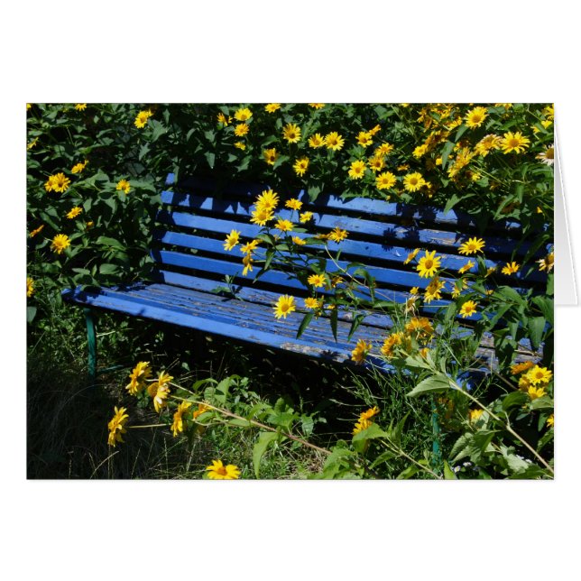 blue bench (Front Horizontal)