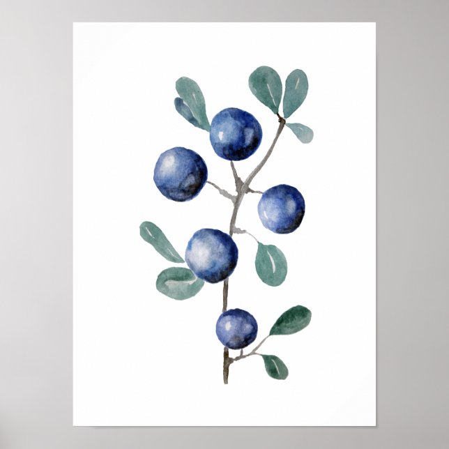 Blue Berries Fruit Watercolor Artwork Poster (Front)